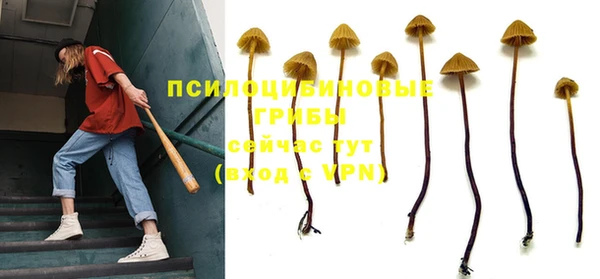 гидропоника Верея
