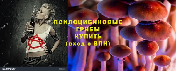 гидропоника Верея