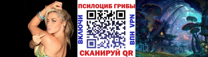 Псилоцибиновые грибы Psilocybe  Купить закладки  Усть-Лабинск 